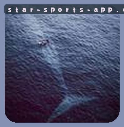 王磊