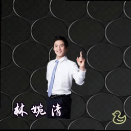 林婉清